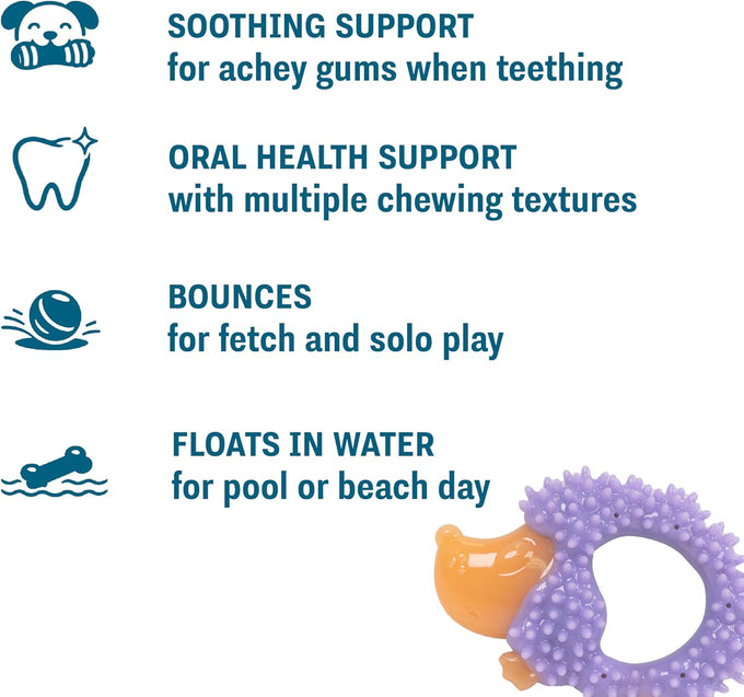 Cutie Chewies Hedgehog Dental Dog Chew Toy for Teething Puppies & Small Dogs Multi-Textured & Durable