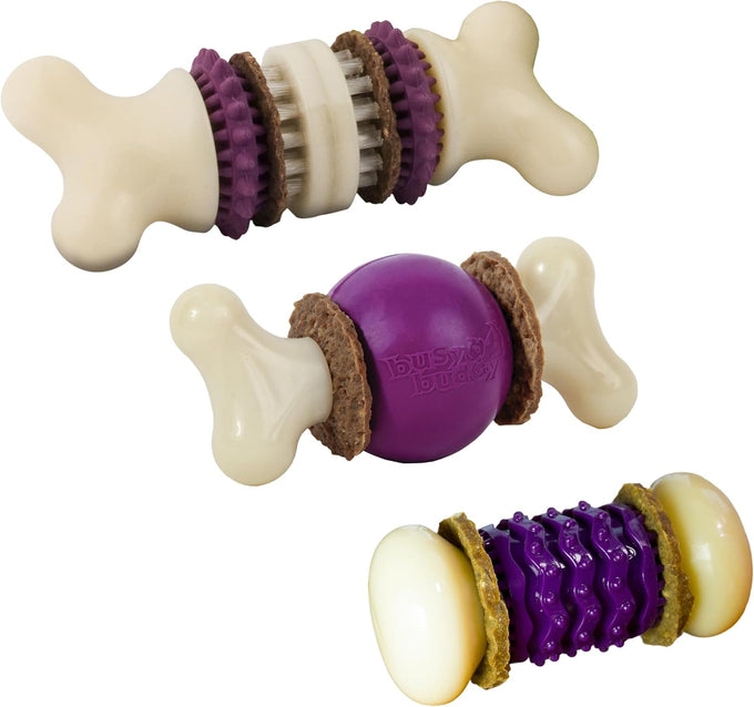 PetSafe Busy Buddy Bristle Bone Dog Chew Toy, Purple, Medium for Hard Chewers, Durable, Interactive, Teeth Cleaning