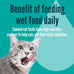 A Strong Heart Canned Wet Cat Food, Special Supper Dinner Pâté — Turkey, Whitefish & Liver — Complete & Balanced for Adult Cats, Made in USA — 13.2 oz Cans, Pack of 12