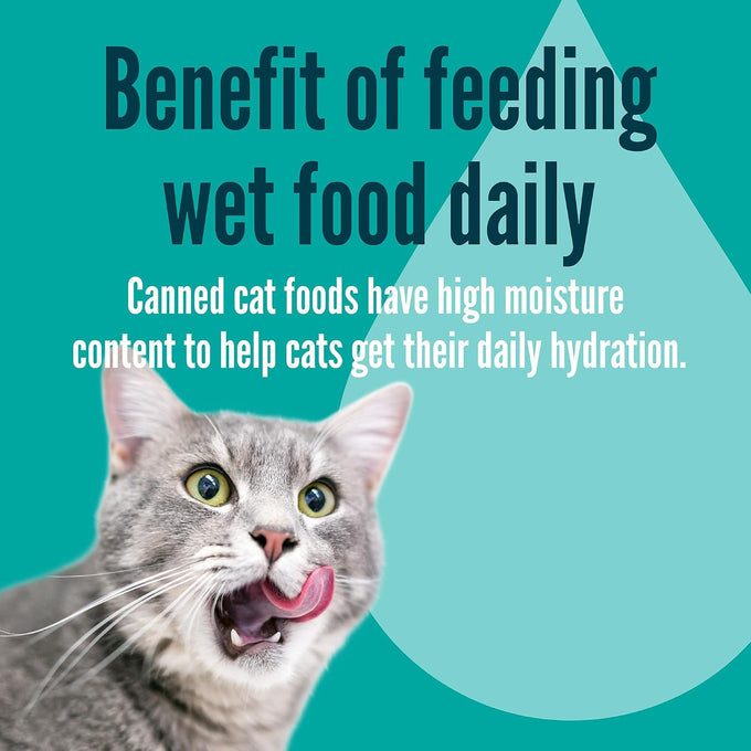 A Strong Heart Canned Wet Cat Food, Special Supper Dinner Pâté — Turkey, Whitefish & Liver — Complete & Balanced for Adult Cats, Made in USA — 13.2 oz Cans, Pack of 12