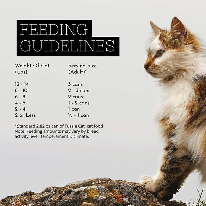 fussie cat super premium canned cat wet food - 12 pack variety pack with hs pet food bowl