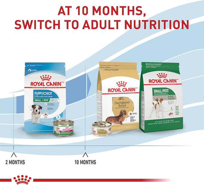 Royal Canin Small Puppy Dry Dog Food, 14 lb Bag