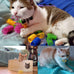ISMARTEN pet cat toys 100 pack colorful plastic coil springs for kitten pets random color