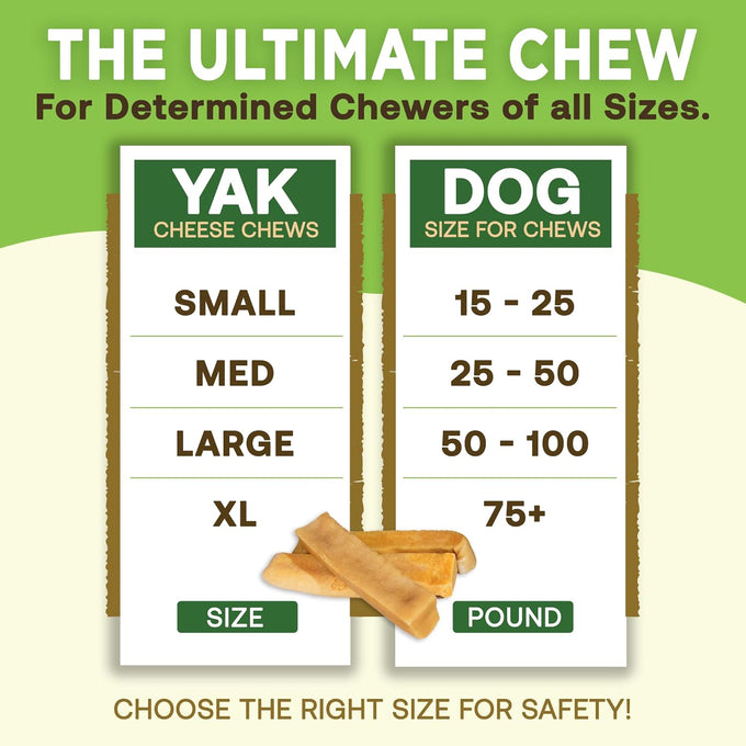 EcoKind Premium Gold Yak Cheese Himalayan Dog Chews for Small Dogs, High Protein, All Natural, Long-Lasting Chew