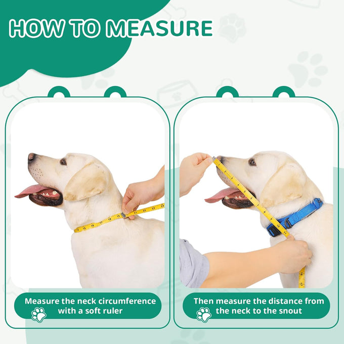 Gladog Soft Dog Cone Collar Set (3 Sizes) - XL Single Size - Adjustable E Collar for Post-Surgery Recovery