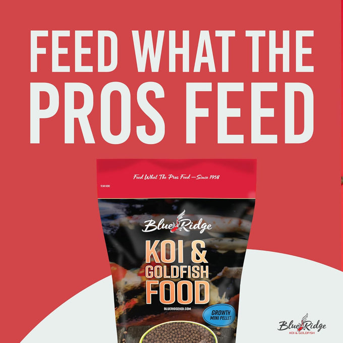 Blue Ridge Koi Fish Food 2lb Mini Growth Formula for Small Koi and Goldfish Premium Floating Pond Pellets