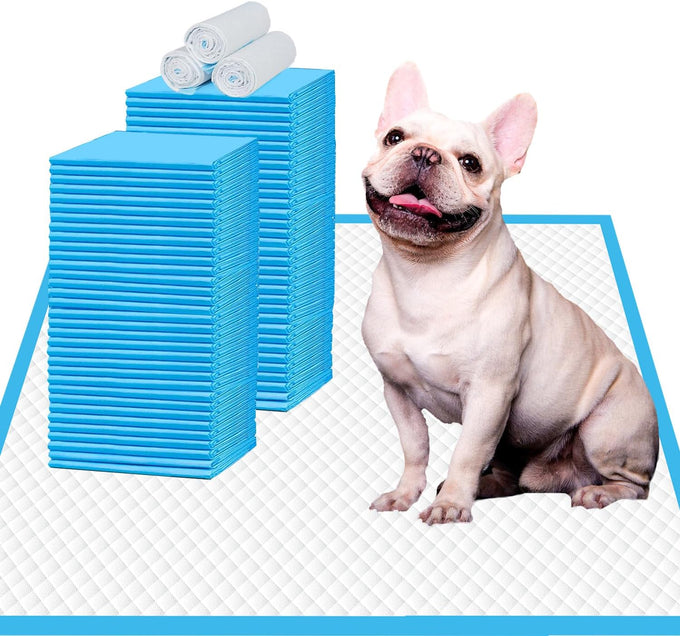 Immcute puppy pads 6-layer leak-proof 100 count 22x23 super absorbent pet training pads