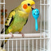 22-piece parakeet bird toy set with colorful bell and rattan balls, safe, non-toxic materials for small birds