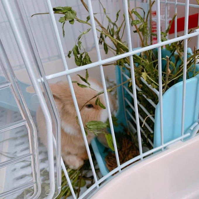 hamiledyi 2 in 1 hay feeder rack for rabbits guinea pigs chinchillas pink blue