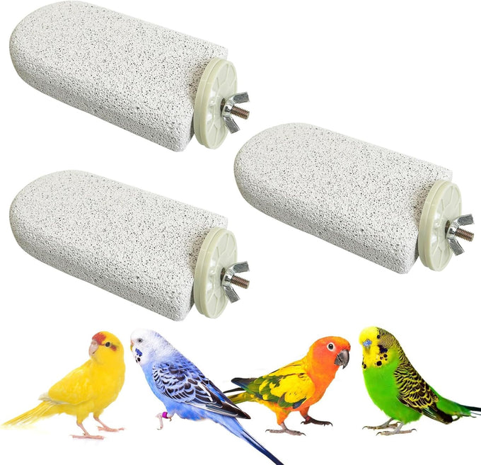 pinvnby 4-piece bird perch stands for small to medium parrots, cockatiels, lovebirds, conures, and finches