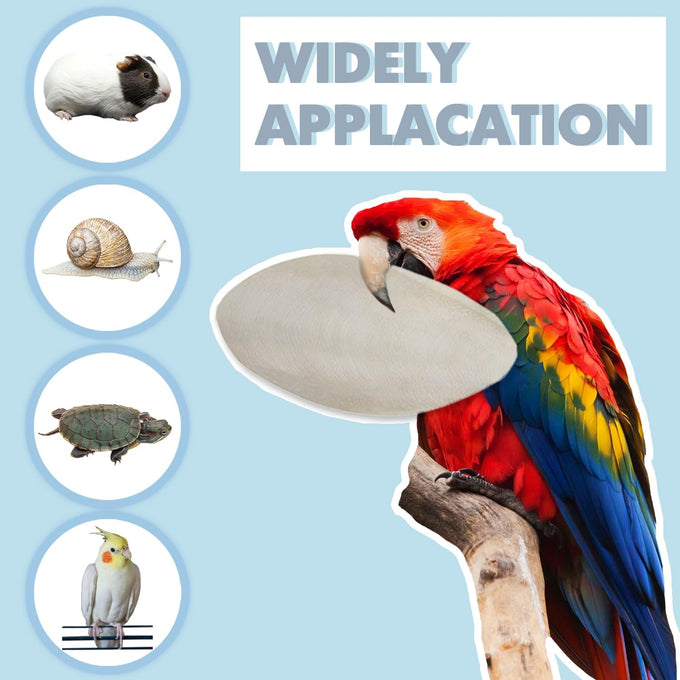 jmxu 3.5-4 cuttlebone for parakeets birds calcium supplement natural chew toys