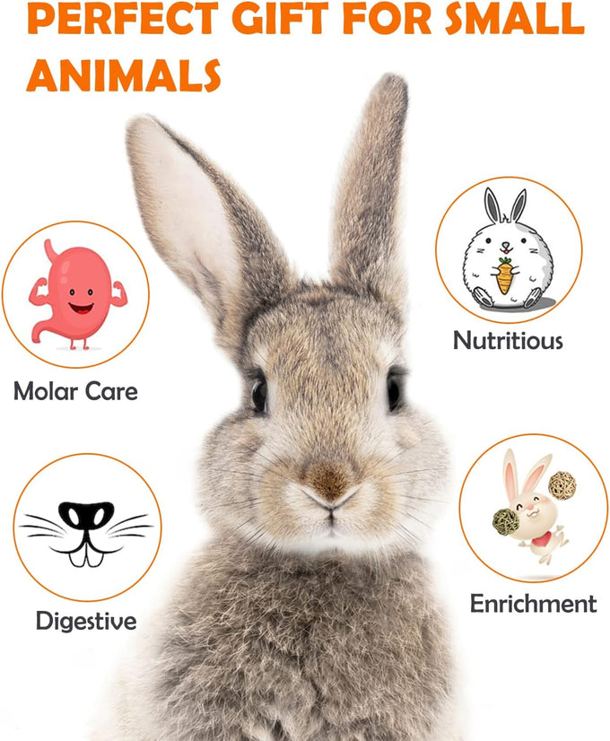 Sofier handmade 12pcs timothy hay treats natural chews for rabbit guinea pig hamster chinchilla rat gerbil