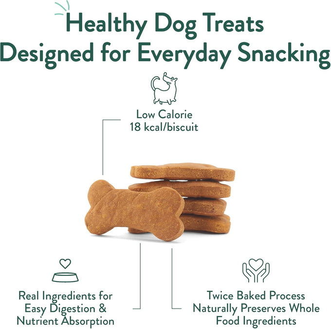 Portland Pet Food Company 3-Pack Grain-Free Pumpkin Dog Treats for Small, Medium, and Large Dogs - Human-Grade and All Natural