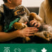 Earth Rated pet wipes for dogs and cats, 3-in-1 cleaning, hypoallergenic, 100 count, white tea and basil scent