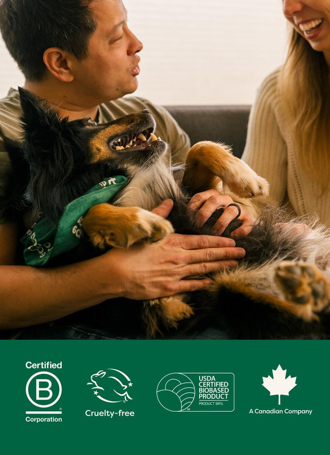 Earth Rated pet wipes for dogs and cats, 3-in-1 cleaning, hypoallergenic, 100 count, white tea and basil scent