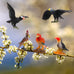 24-piece realistic bird figurines set with varied species and decorative uses for kids and collectors