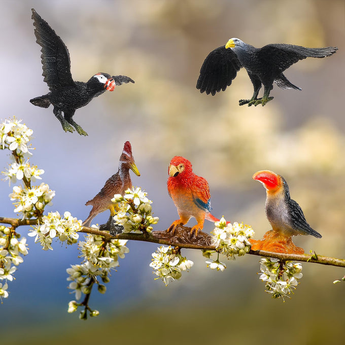 24-piece realistic bird figurines set with varied species and decorative uses for kids and collectors