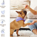 Three Dog Bakery Mini Carob Chip Cookies 8 oz Crunchy Dog Treats with Real Ingredients