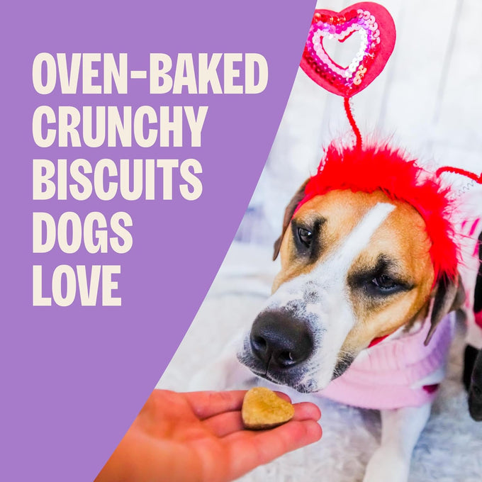 Old Mother Hubbard Natural Peanut Butter Flavor Dog Biscuits, 6 oz Bag, Valentine's Day Seasonal Treats