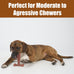 SPOT Bam-Bones Plus T Bone Bamboo Fiber Nylon Dog Chew Toy for Moderate Aggressive Chewers Durable Long Lasting Non-Splintering Beef Flavor 6 in