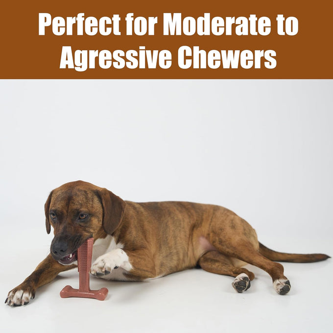 SPOT Bam-Bones Plus T Bone Bamboo Fiber Nylon Dog Chew Toy for Moderate Aggressive Chewers Durable Long Lasting Non-Splintering Beef Flavor 6 in