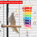 Large Multicolored Natural Wooden Parrot Xylophone Toy with Grinding Stone for Macaws, African Grey, Cockatoos, Amazon
