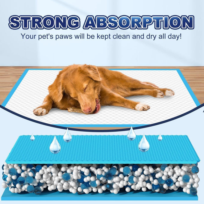 Oomicat Puppy Pads XL 100 count, extra large 34x28 disposable dog training pads with 6-layer leak-proof protection
