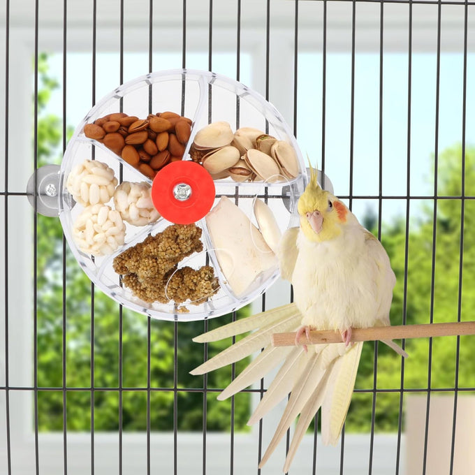 Bird Creative Foraging System Wheel Seed Food Ball Rotate Training Toy for Small Parrots