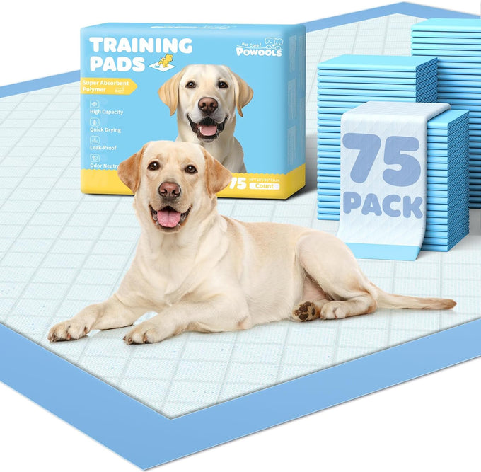 powools 100-pack x-large puppy pads for dogs potty training with leak-proof quick-dry design and 6-layer wee wee pads