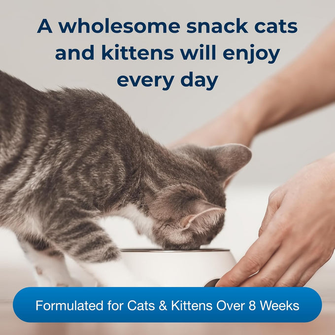 PetAg Cat-Sip 8 oz, 12 Pack - Ready-to-Feed Lactose-Free Milk Snack for Cats & Kittens