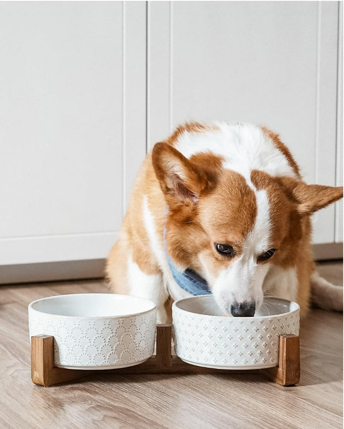 Le Tauci Acacia Wood Stand Dog Bowl Set with 1.5-Cup Ceramic Bowls for Small Dogs and Cats, Non-Slip Base