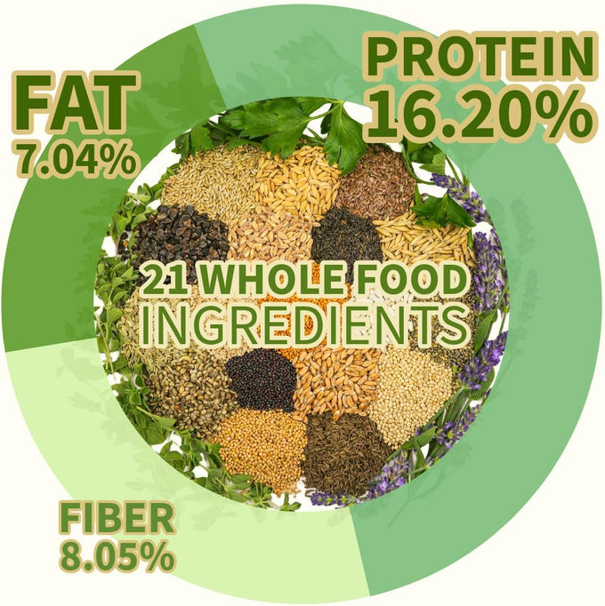 Cockatiel, Conure, Lovebird, Quaker, Parrotlet Food | No Corn, Soy, Peanuts | Gourmet Whole Grains & Seeds | 1 lb Daily Blend
