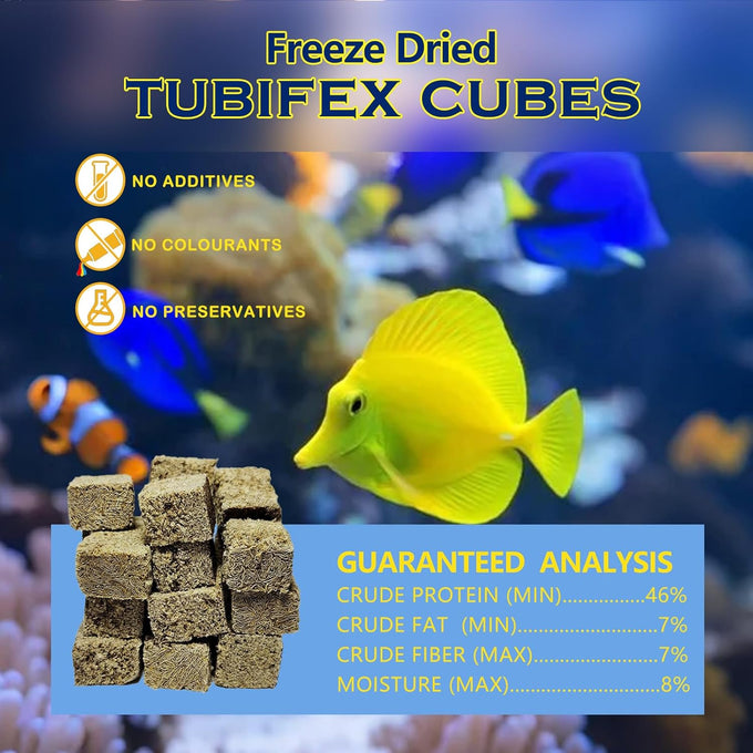 Freeze Dried Tubifex Worms Cubes 3.5 oz - High Protein Floating Fish Food for Tropical Fish and Aquariums