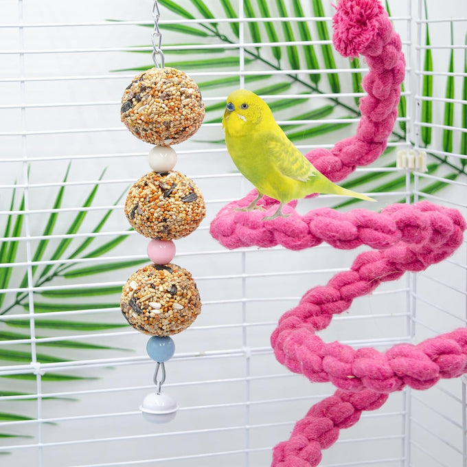 Bird toys, 2 pack, 3 natural cereal foraging balls, cage toys for parakeet, budgie, cockatiel, lovebird, green cheek, small to medium birds