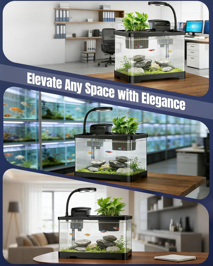 Pawfly 2-gallon betta fish tank kit, small aquarium starter kit with 6w led light, 65gph filter and siphon vacuum water changer