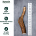 Mountain Valley Grade A Whole Large Elk Dog Antlers, 100% Natural & Organic, No Odor, No Mess, Long Lasting