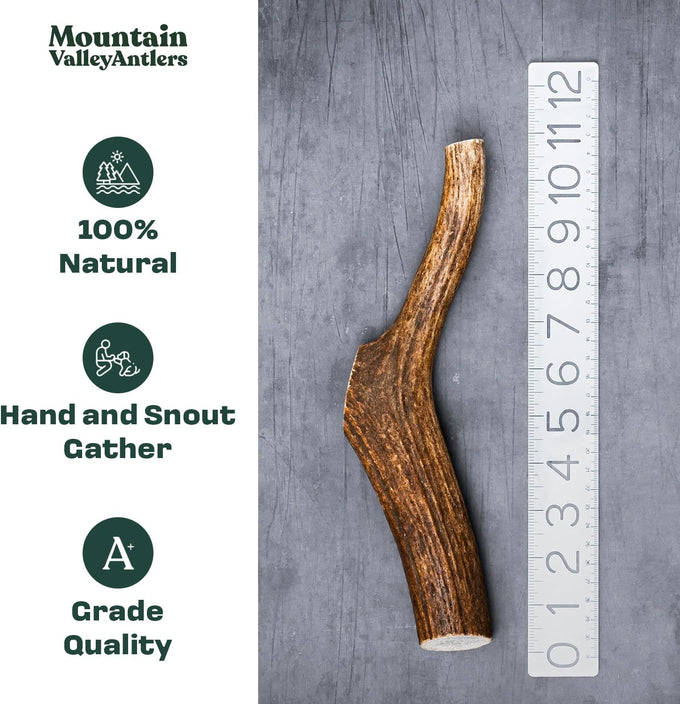 Mountain Valley Grade A Whole Large Elk Dog Antlers, 100% Natural & Organic, No Odor, No Mess, Long Lasting
