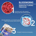 Dylan's cabin freeze-dried bloodworms high-protein fish food for all tropical fish betta goldfish discus guppies cichlids 85g