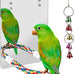 7 inch acrylic bird mirror with rope perch for grey parrots, amazons, parakeets and cockatiels