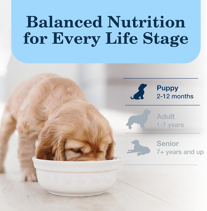Blue Buffalo Homestyle Puppy Wet Dog Food, Chicken Dinner, 12-Pack