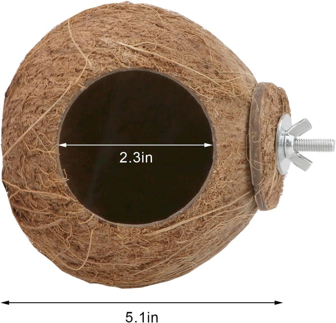 Hypeety coconut shell bird breeding nest toy with ladder and swing for parrot, parakeet, finch, hamster and lovebird