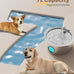 Big Cat stainless steel dog water fountain for large dogs - 7L, 236oz, 1.8G, indoor use