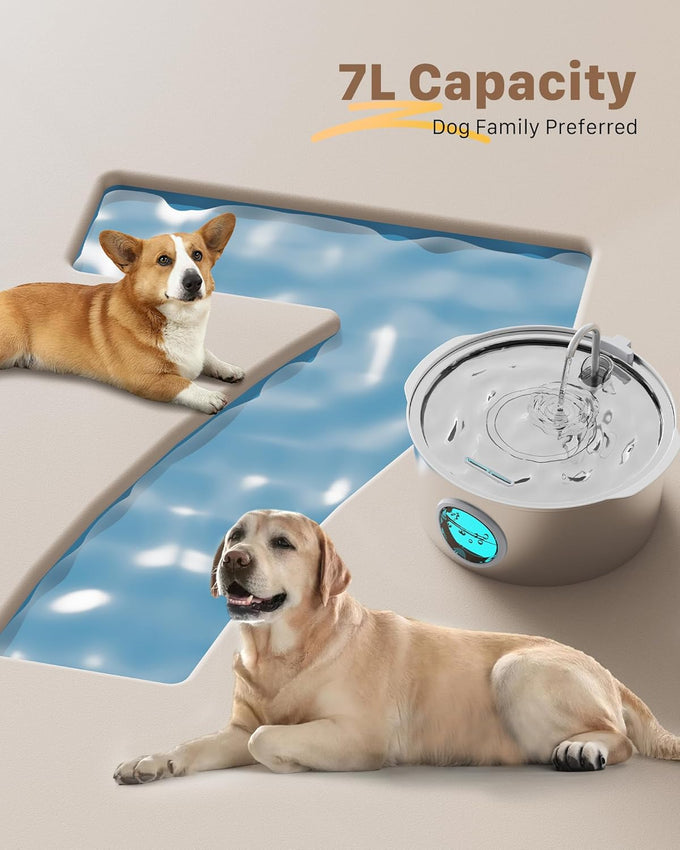 Big Cat stainless steel dog water fountain for large dogs - 7L, 236oz, 1.8G, indoor use