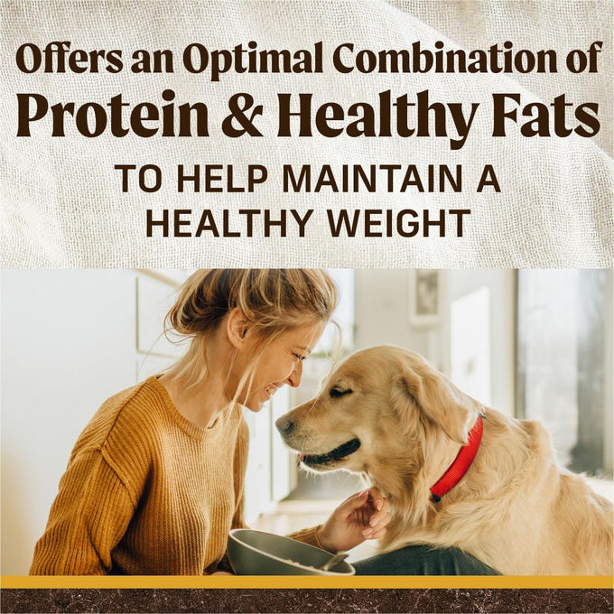 Merrick Premium Grain-Free Healthy Weight Dog Food, 4 lb
