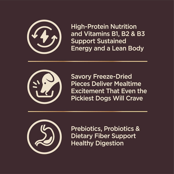 Wellness CORE+ Small Breed Adult Dry Dog Food with Freeze Dried Pieces, Wholesome Grain Kibble+, Natural, High Protein, Turkey and Chicken Recipe, 4 lb Bag