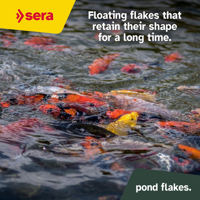 Sera Pond Flakes Fish Food 1.2 lb staple food for smaller pond fish, rich in vitamins & minerals