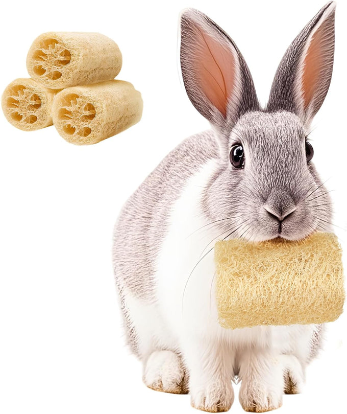 besnew natural loofah rabbit chew toys 100% edible for teeth health