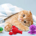 catnip toys for indoor cats kitten interactive lobster octopus crab starfish seahorse sea turtle set of 6