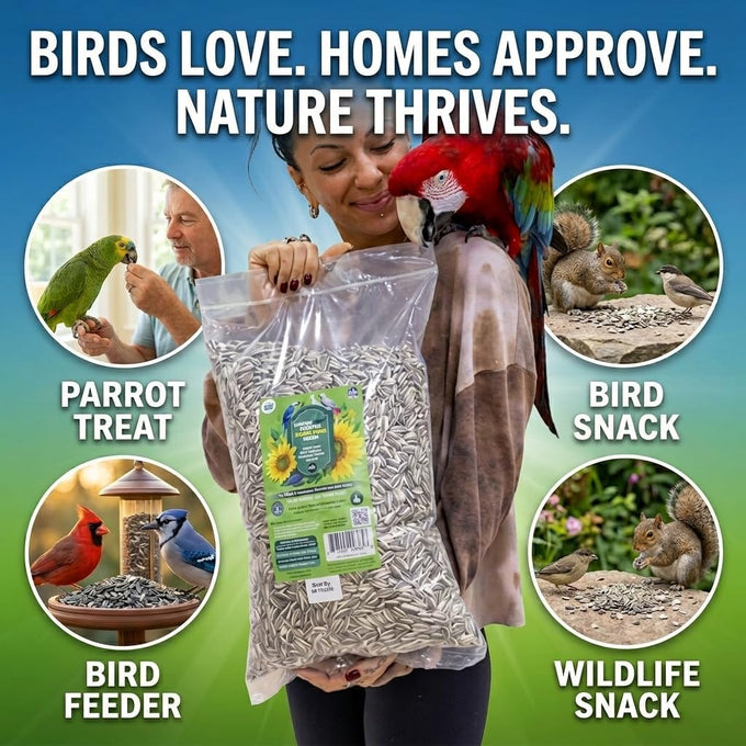 nemeth-farms-striped-sunflower-seeds-for-parrots-bird-food-5-lb-extra-large-gray-5