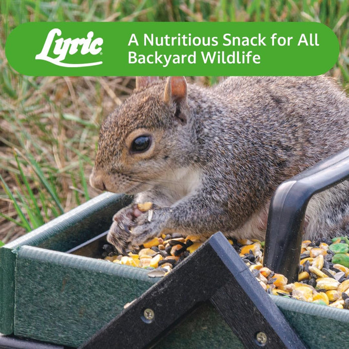 Lyric Wildlife Critter Food & Wild Bird Seed, 10 lb Hand-Crafted Mix, Nutrient-Rich for Deer, Squirrels, Turkeys & Rabbits